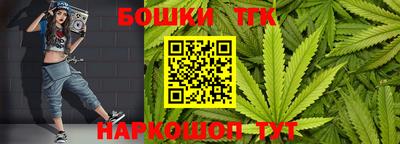гашик Шебекино