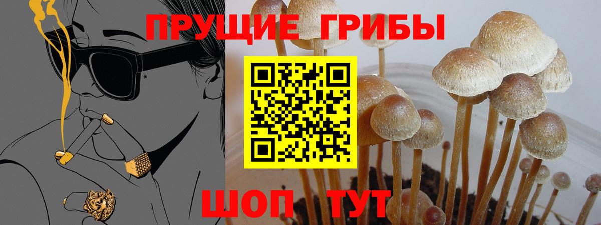 Псилоцибиновые грибы Cubensis Миасс